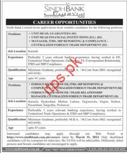 Sindh Bank Limited Jobs 2024 Career Opportunites