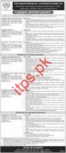 The Punjab Provincial Co-Operative Bank Jobs 2024 Latest