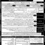 PAF New Jobs for Education Instructor, PF&DI Sportsman & Female Medical Assistant www.joinpaf.gov.pk Online Apply