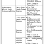 NESPAK Jobs New Latest Advertisement 2024 National Engineering Services Pakistan