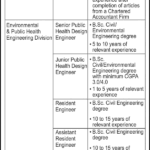 National Engineering Services Pakistan (NESPAK) New Latest Jobs Advertisement 2024