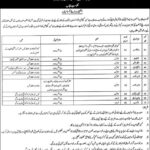 Punjab Human Capital Investment PSCA New Jobs Latest Advertisement