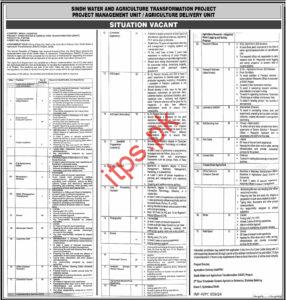 Sindh Water & Agriculture Transformation Project Jobs 2024