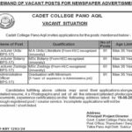 Cadet College Pano Aqil New Jobs Latest Advertisement Vacant Situation