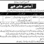 Ministry of Defence MOD New Jobs Latest Advertisement for Cook