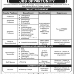 Niazi Medical & Dental College NMDC New Jobs Latest Advertisement